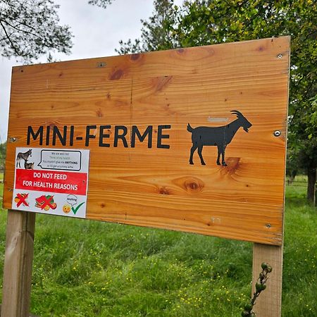 Mobil-Home 6 Personne - Tohapi Coeur De Vendee La Boissiere-de-Montaigu المظهر الخارجي الصورة